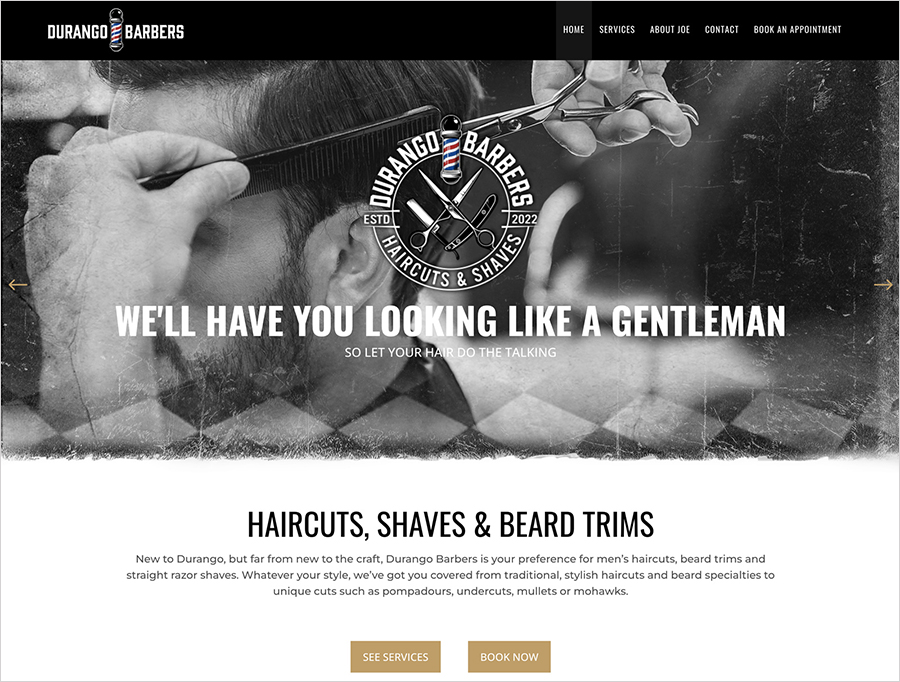 Logo and website design in Colorado